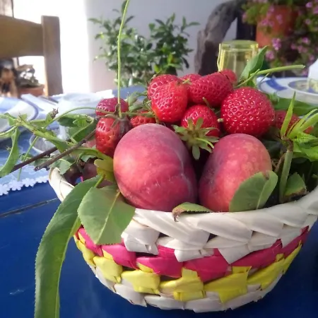 Alloggio per agriturismo Solemare
