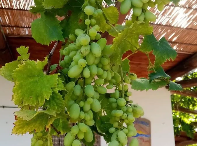 Solemare * Stromboli