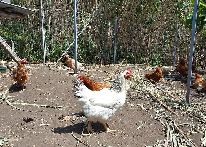 Solemare Farmház Stromboli